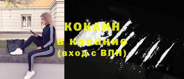 шишки Алексин