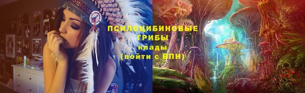 шишки Алексин