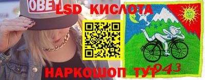 крисы Дубна