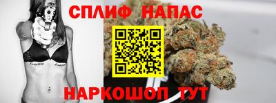 крисы Дубна