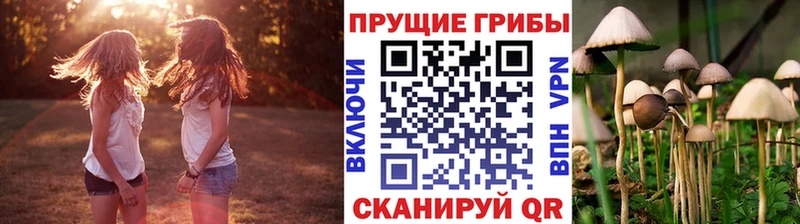 Псилоцибиновые грибы мухоморы  Мичуринск 