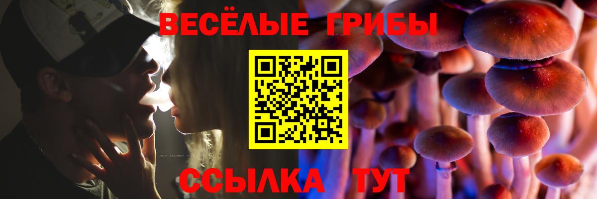 Мичуринск  Галлюциногенные грибы MAGIC MUSHROOMS  Вход с VPN 